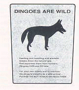 dingosign