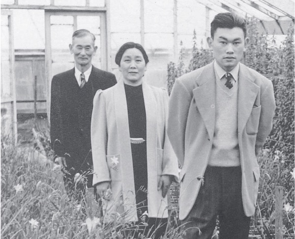 korematsunursery